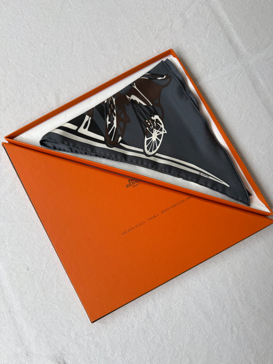 Hermès Triangle Scarf – Calèche Élastique Design
