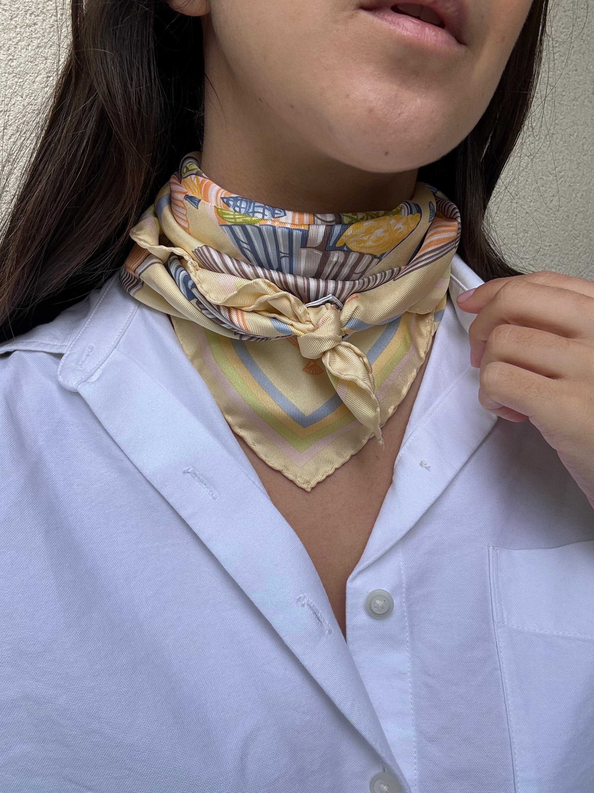 Céline Scarf – Fan print