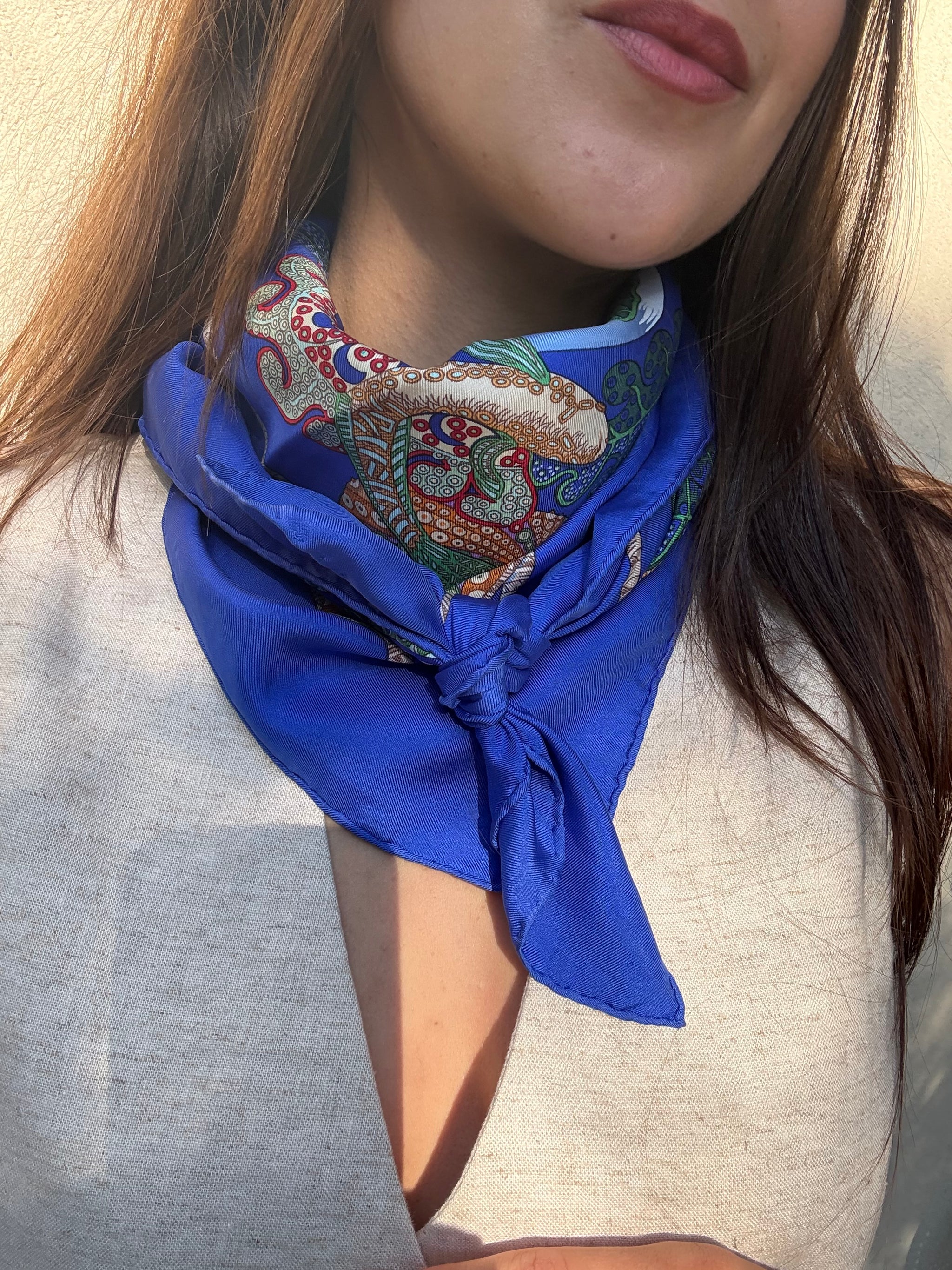 Foulard Hermès – Modèle Grands Fonds