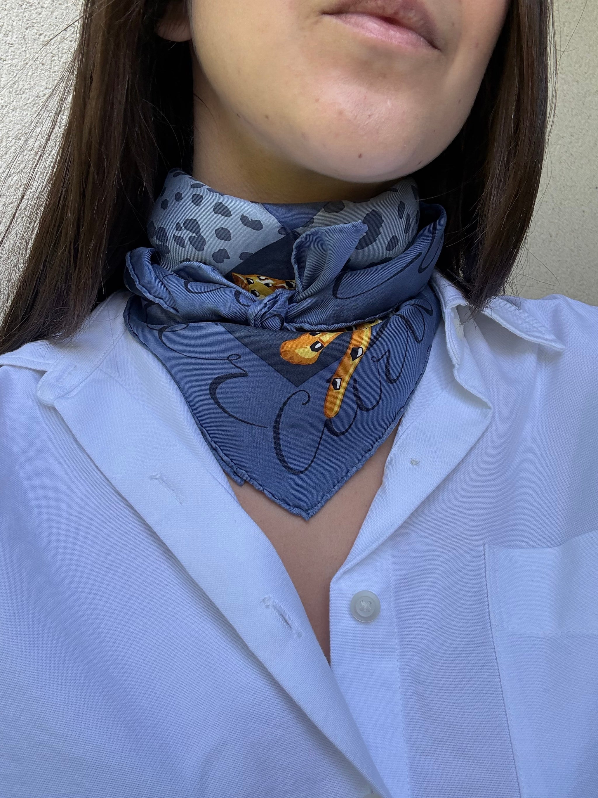Foulard Cartier – Modèle bleu et panthères