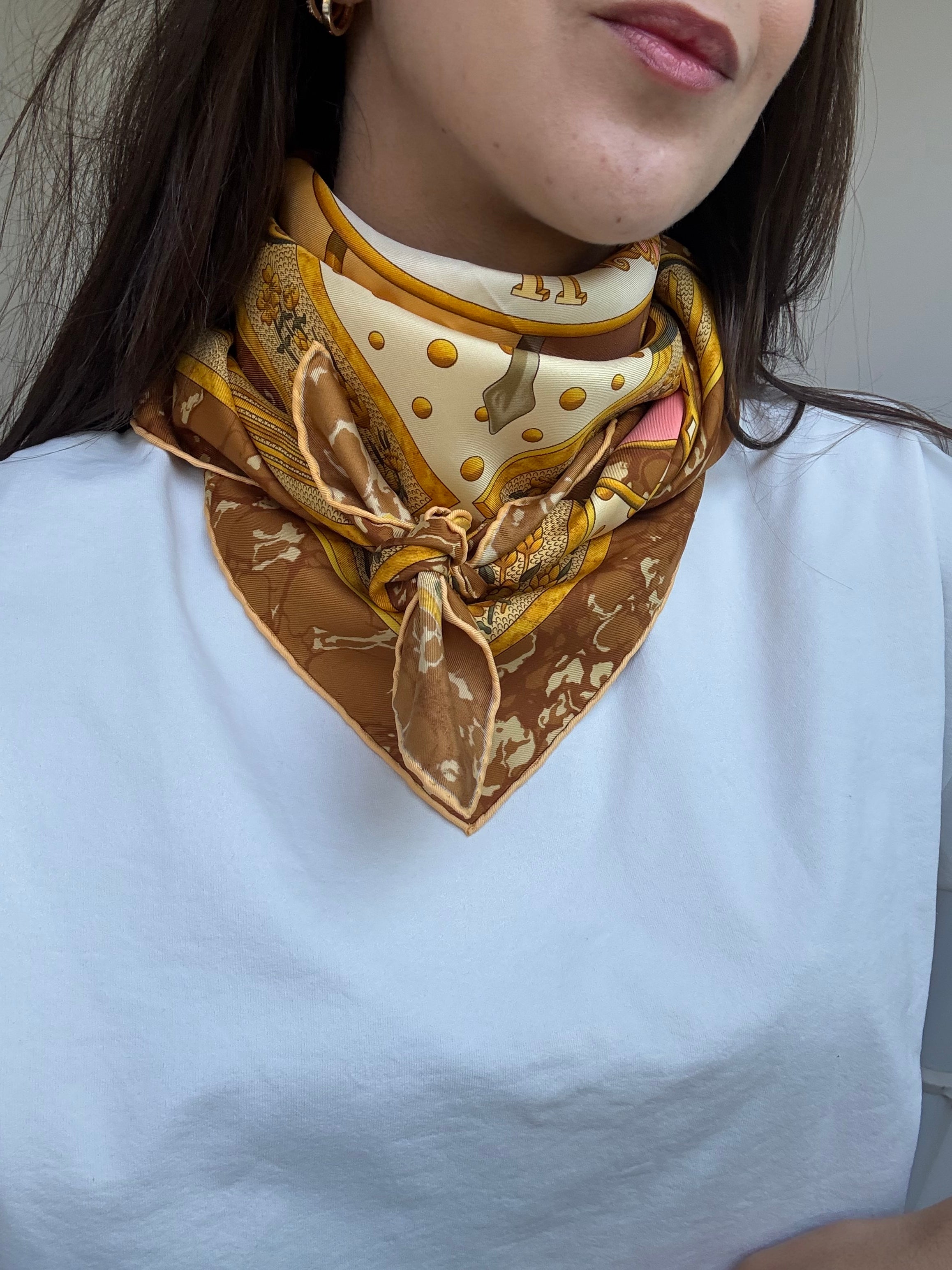 Foulard Hermès – Modèle Carpe Diem