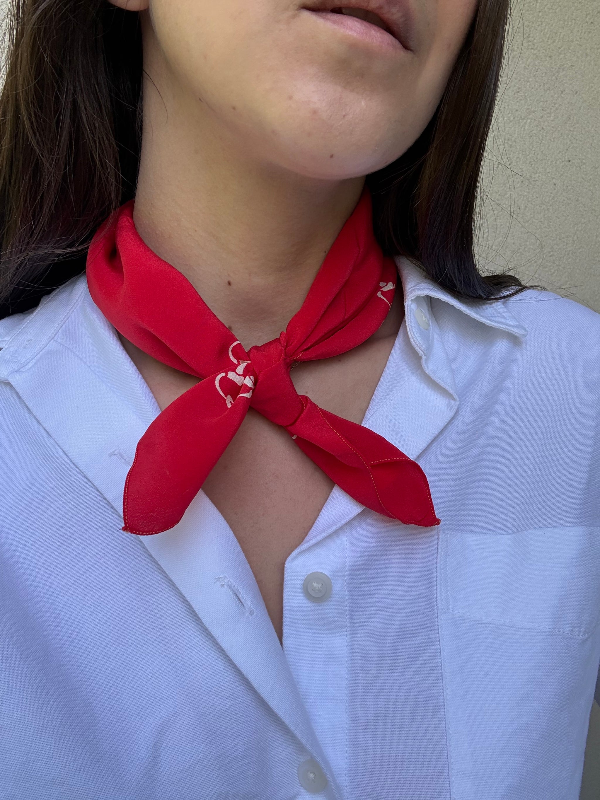 Celine Scarf – Red chain print