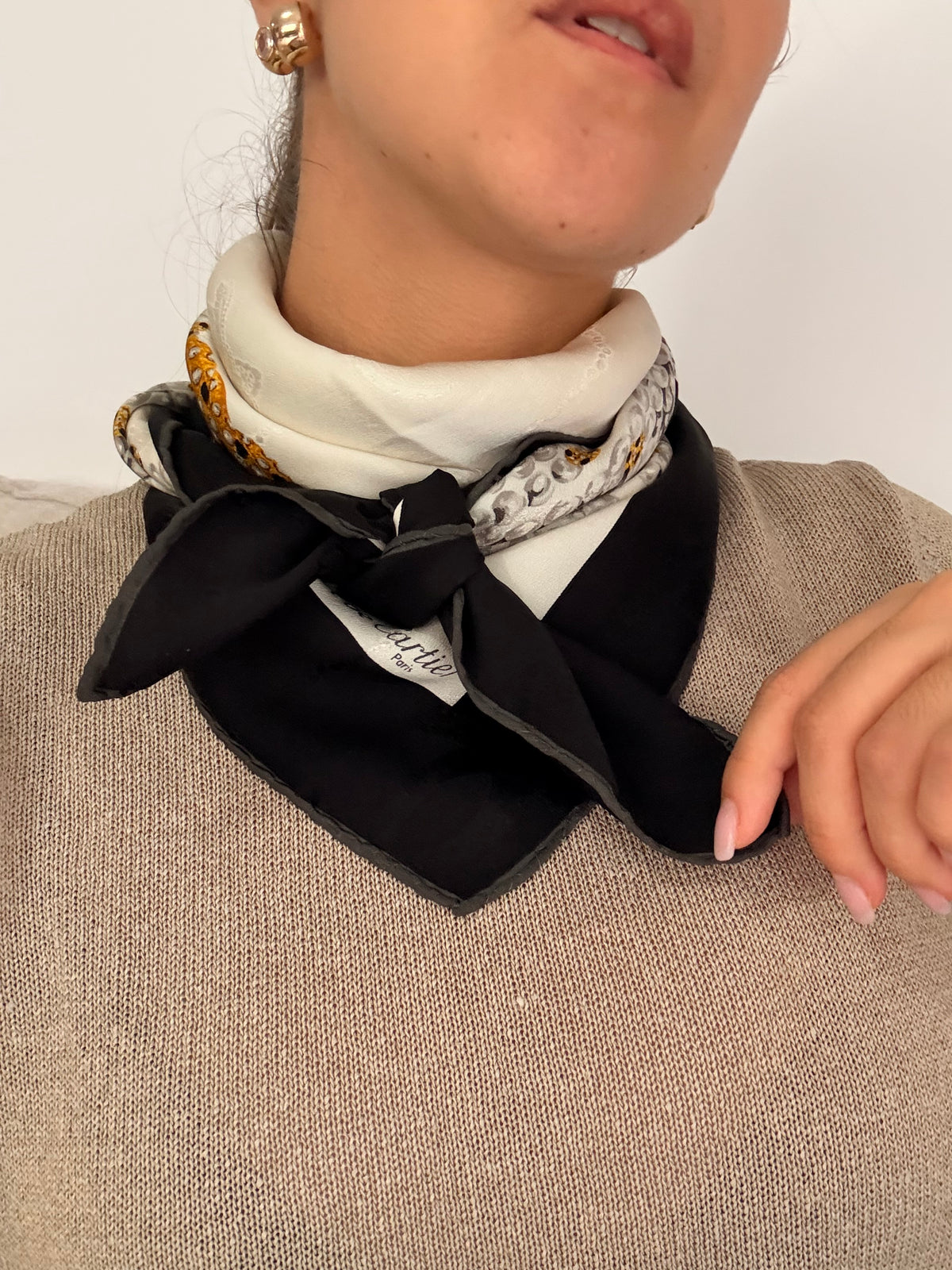 Foulard Cartier – Motif panthère et bijouterie