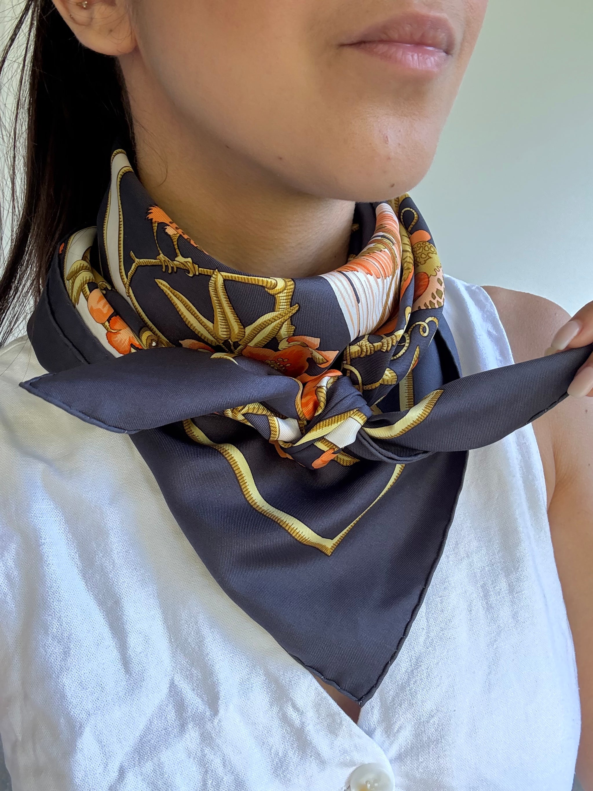 Foulard Hermès – Modèle Caraïbes