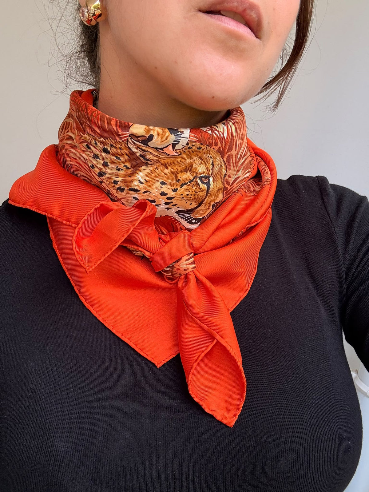 Foulard Hermès – Modèle Les Guépards